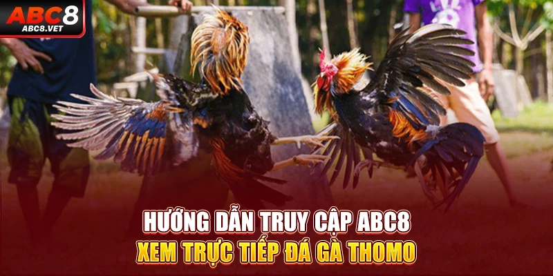 Hướng dẫn truy cập ABC8  xem trực tiếp đá gà Thomo
