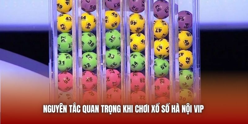 Nguyên tắc quan trọng khi chơi xổ số Hà Nội VIP