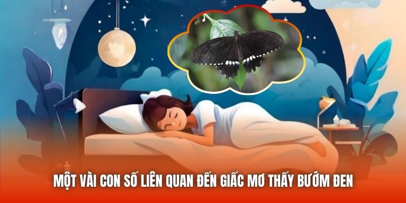 Một vài con số liên quan đến giấc mơ thấy bướm đen
