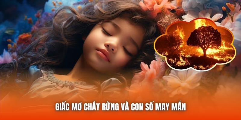 Giấc mơ cháy rừng và con số may mắn